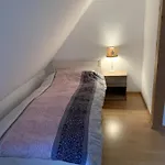 Muehlendamm * Bergen (Lower-Saxony)